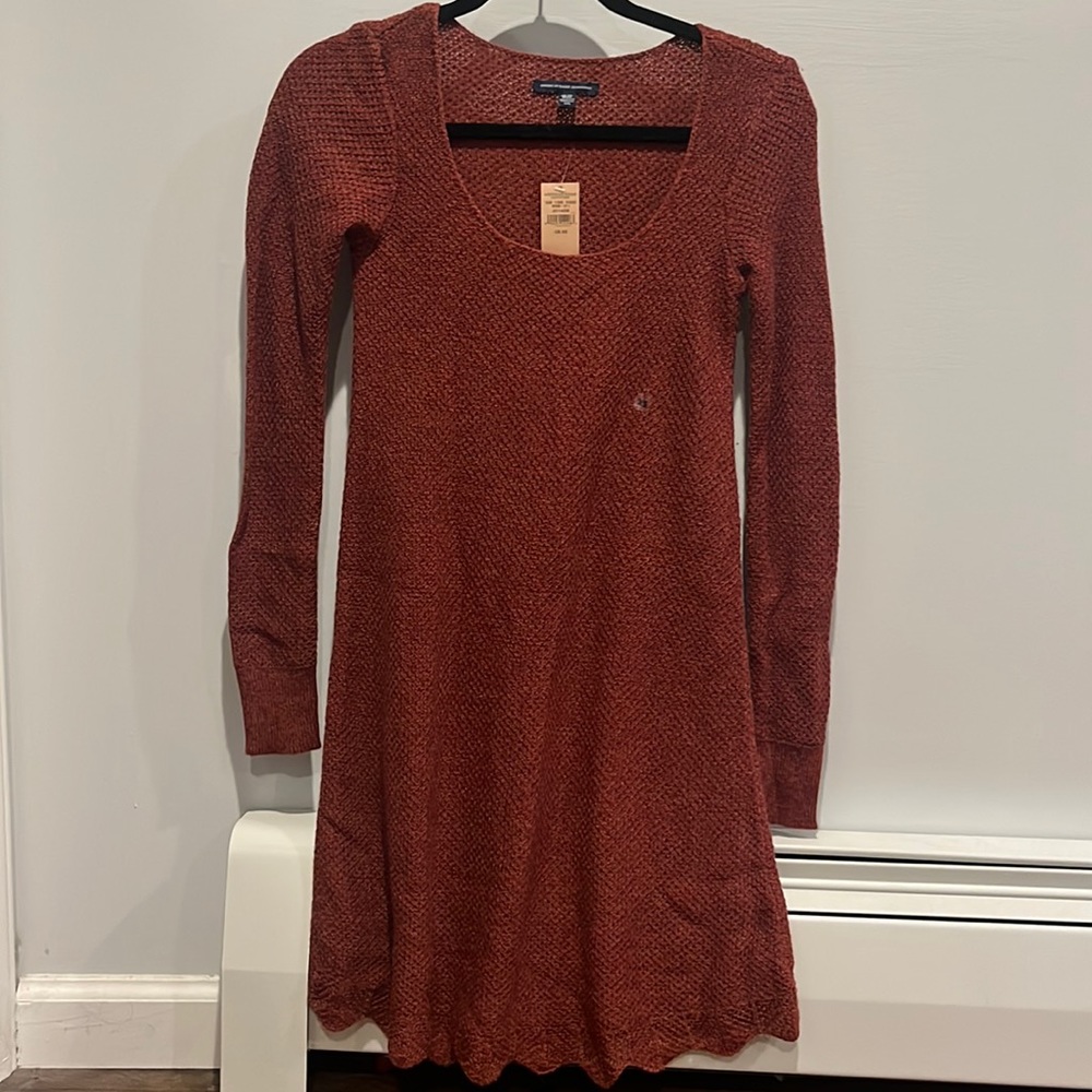 Red/maroon American eagle sweater dress